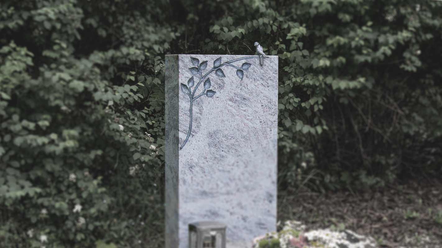 Broncevogel auf Zweig