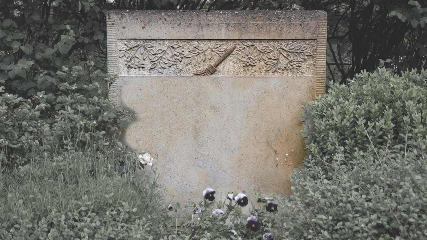 Vogelbeerenrelief