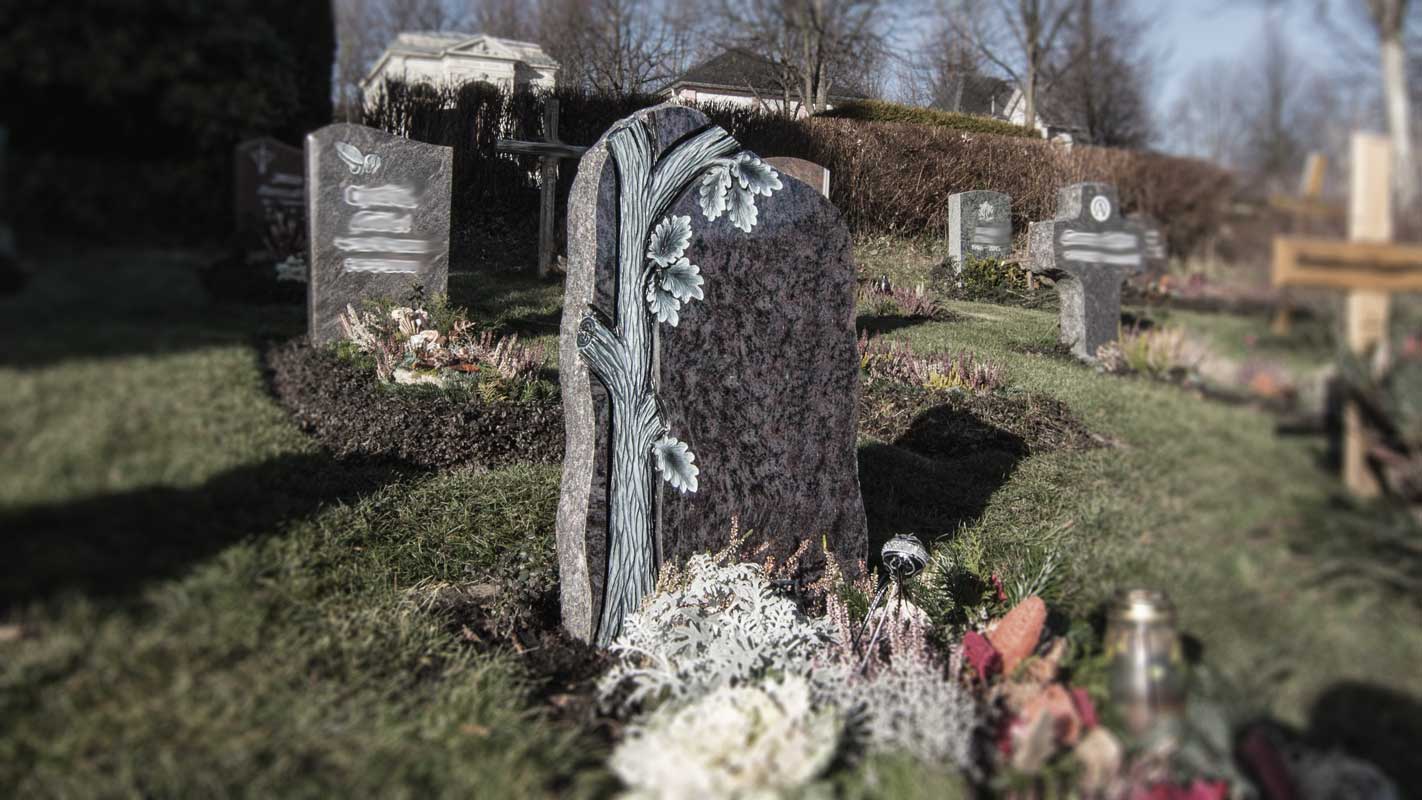 Baumstamm fabig gefasst